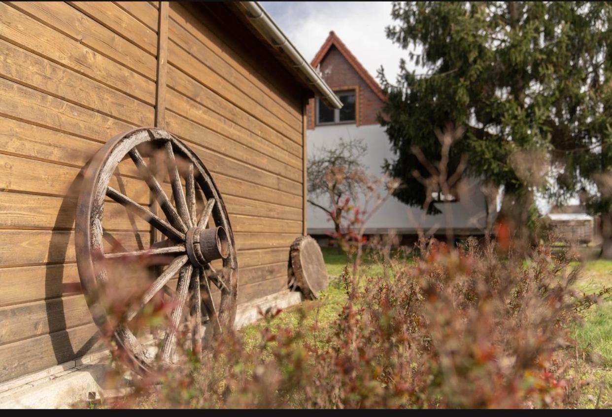 Ferienhaus Leo Boblitz Exterior foto